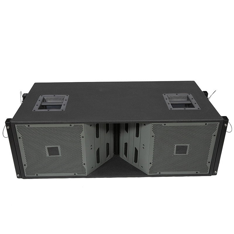 VT4888 Dubbele 12 inch neodymium hoorn line array-luidspreker