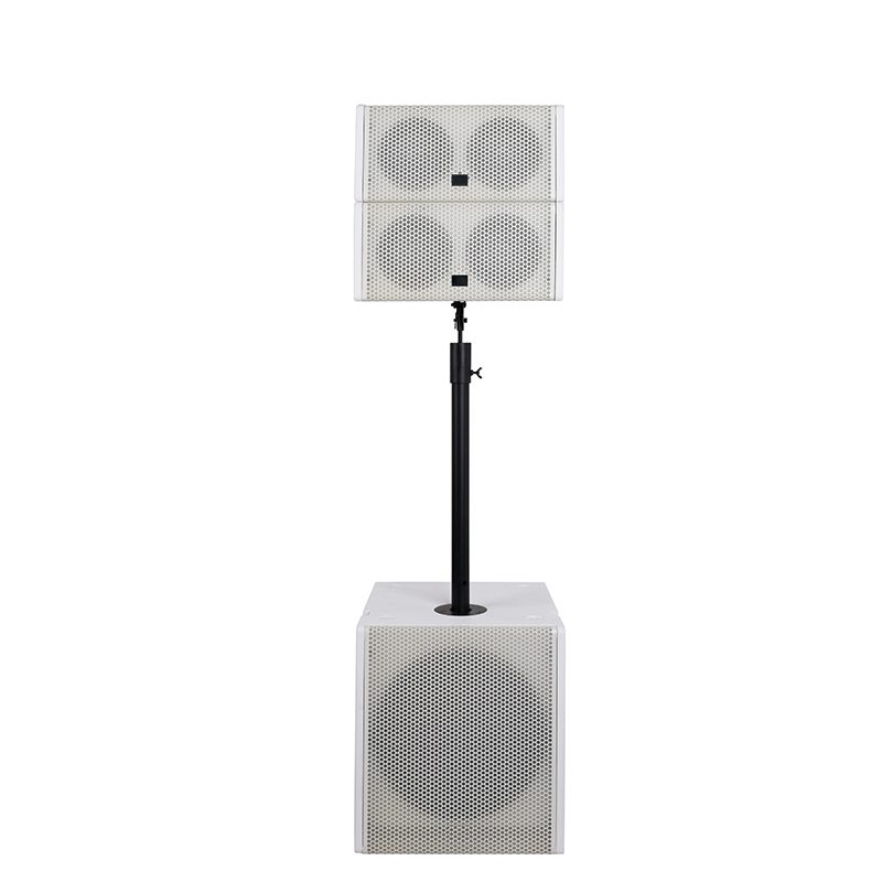 COX-5.4 Thuisbioscoop 5 inch kleine draagbare line array-luidspreker