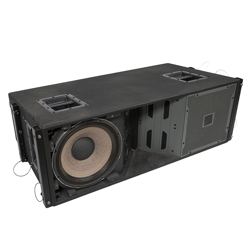 VT4888 Dubbele 12 inch neodymium hoorn line array-luidspreker